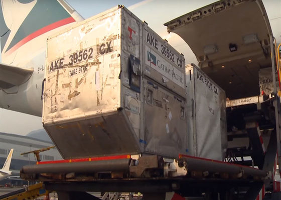 Guangzhou ke Seluruh Dunia Global Freight Laut FCL Pengangkutan Kontainer Penuh