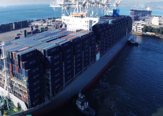 Pintu ke Pintu LCL International Ocean Freight Forwarder DDP Pengiriman Laut