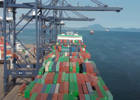 LCL FCL International Sea Freight Forwarding dari China ke Vietnam Pengiriman