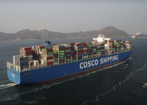 Pelabuhan ke Pelabuhan PTP Pengangkutan Laut Internasional Dari China ke Kanada Pengiriman Kontainer FCL
